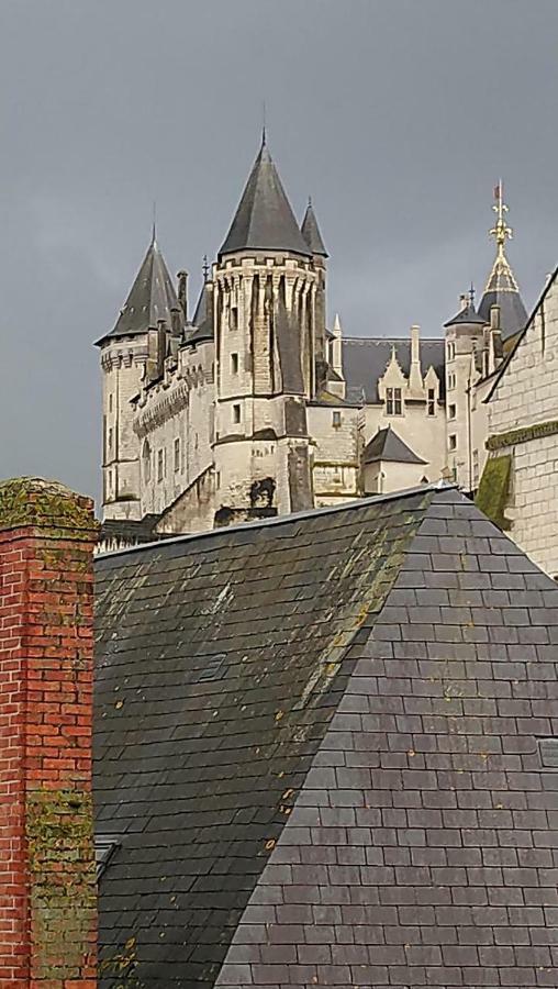 The Peaceful Corner In The Heart Of Saumur Apartment Bagian luar foto